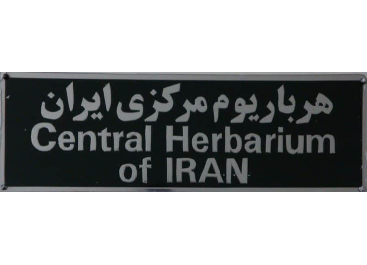 عکسهای هرباریوم مرکزی ایران