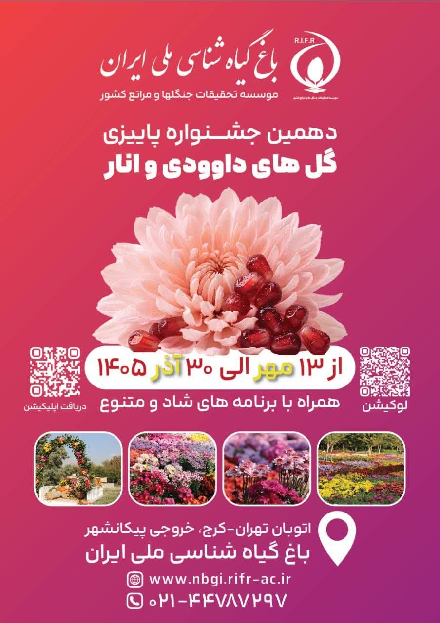 دهمین جشنواره گل‌های داوودی
