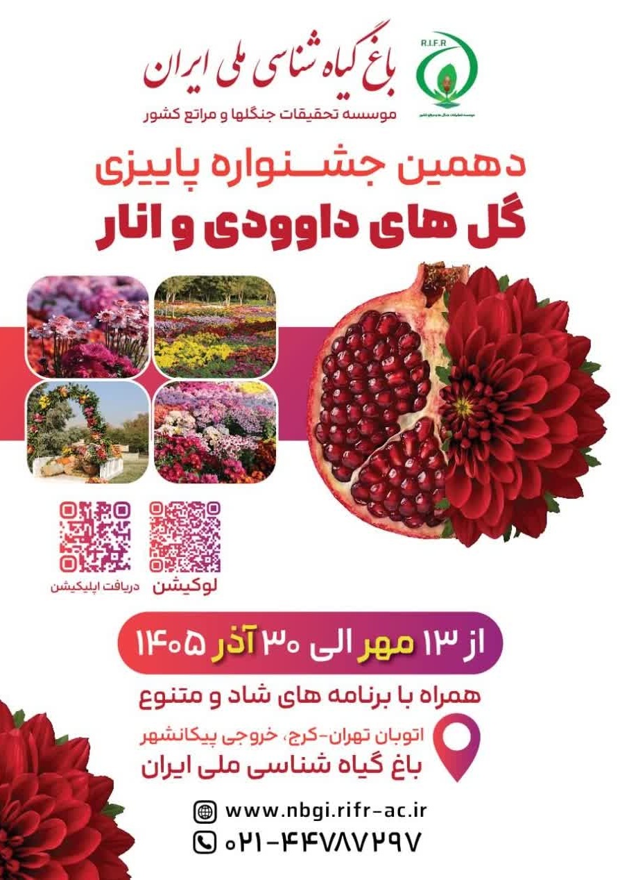 دهمین جشنواره گل‌های داوودی