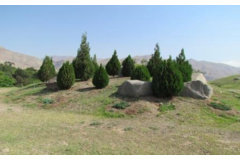 قطعه همیالیا
