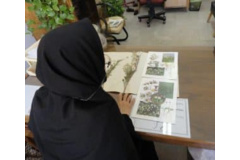 شناسایی گونه از طریق نمونه هر باریومی تهیه شده در محل جمع آوری