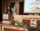 دکتر حاجی‌وند: ایستادگی و فداکاری رزمندگان، پشتوانه امروز کشور است