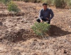عرصه یادبود دانش‌‌آموزان شهید میناب