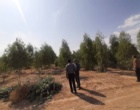 عرصه یادبود دانش‌‌آموزان شهید میناب