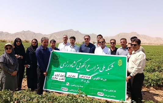 برگزاری کارگاه آموزشی – ترویجی مدیریت آفات گوجه‌فرنگی در تنگ‌ارم شهرستان دشتستان