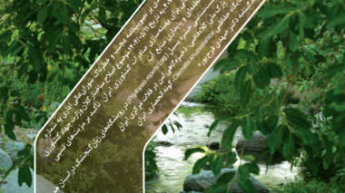 شماره ۵۲