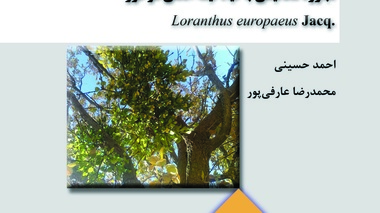 نشریه فنی 1