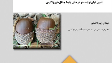 نشریه‌فنی 6