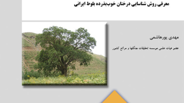 نشریه فنی 12
