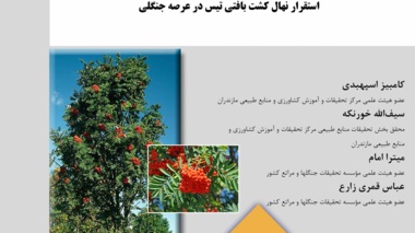 نشریه فنی 13