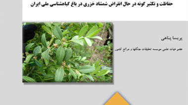 نشریه فنی 16
