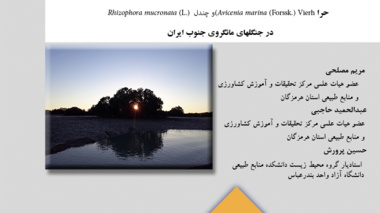 نشریه فنی 19