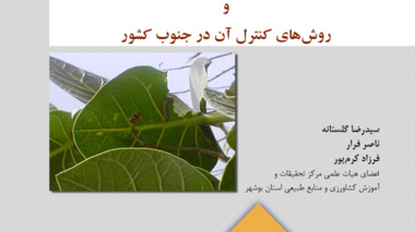 نشریه فنی 21