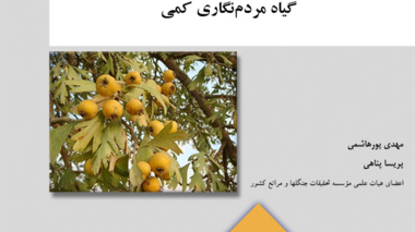 نشریه فنی 22