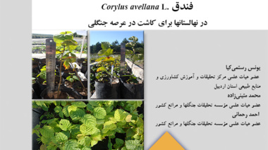 نشریه فنی 24