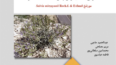 نشریه فنی 25