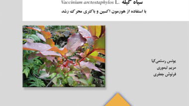 نشریه فنی 26