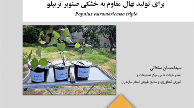 نشریه فنی 31