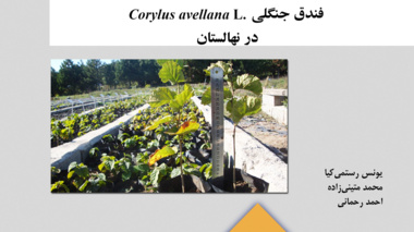 نشریه فنی 32