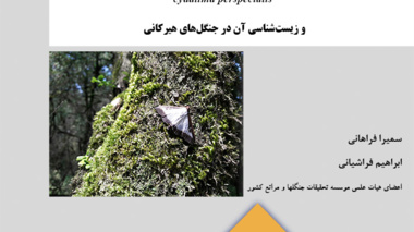نشریه فنی 33