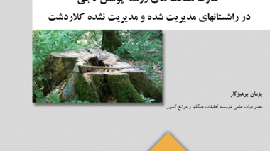 نشریه فنی 36