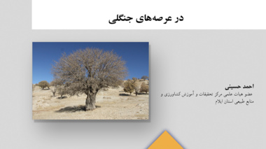 نشریه فنی 37