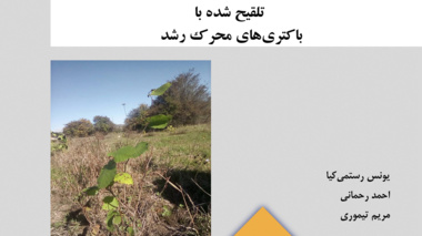 نشریه فنی 38