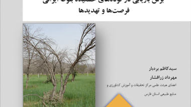 نشریه فنی 42
