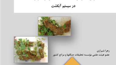 نشریه فنی 48