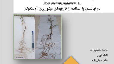 نشریه فنی 51
