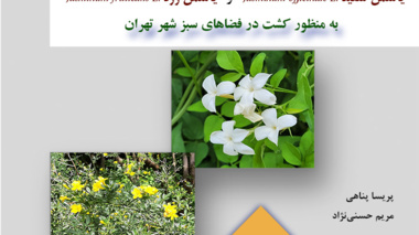 نشریه فنی 52
