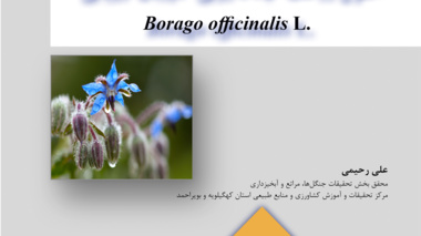 نشریه فنی 54