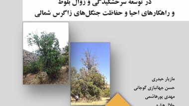 نشریه فنی 62