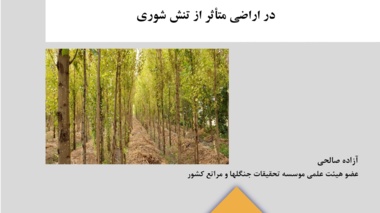 نشریه فنی 63