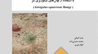 نشریه فنی 65