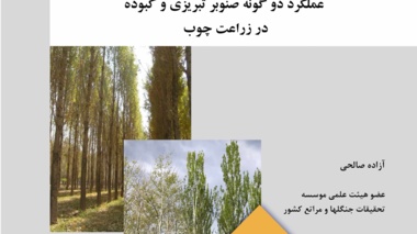 نشریه فنی 66