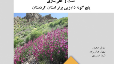 نشریه فنی 68