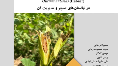 نشریه فنی 74