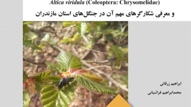 نشریه فنی 75