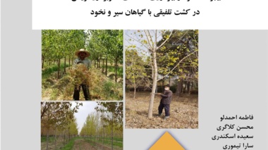 نشریه فنی 78
