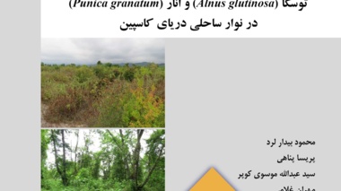 نشریه فنی 79