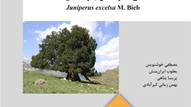نشریه فنی 80