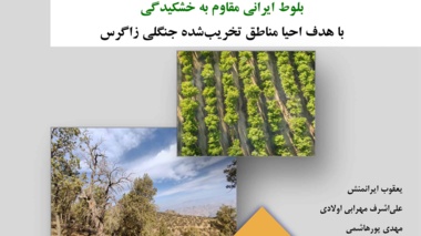 نشریه فنی 81
