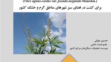 نشریه فنی 83
