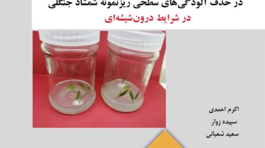 نشریه فنی 85