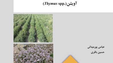نشریه فنی 86