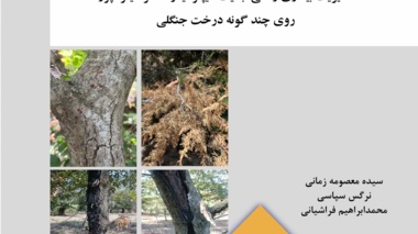 نشریه فنی 87