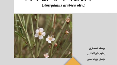نشریه فنی 89