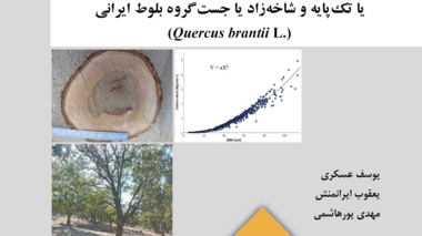 نشریه فنی 91