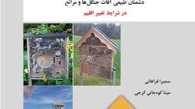 نشریه فنی 92